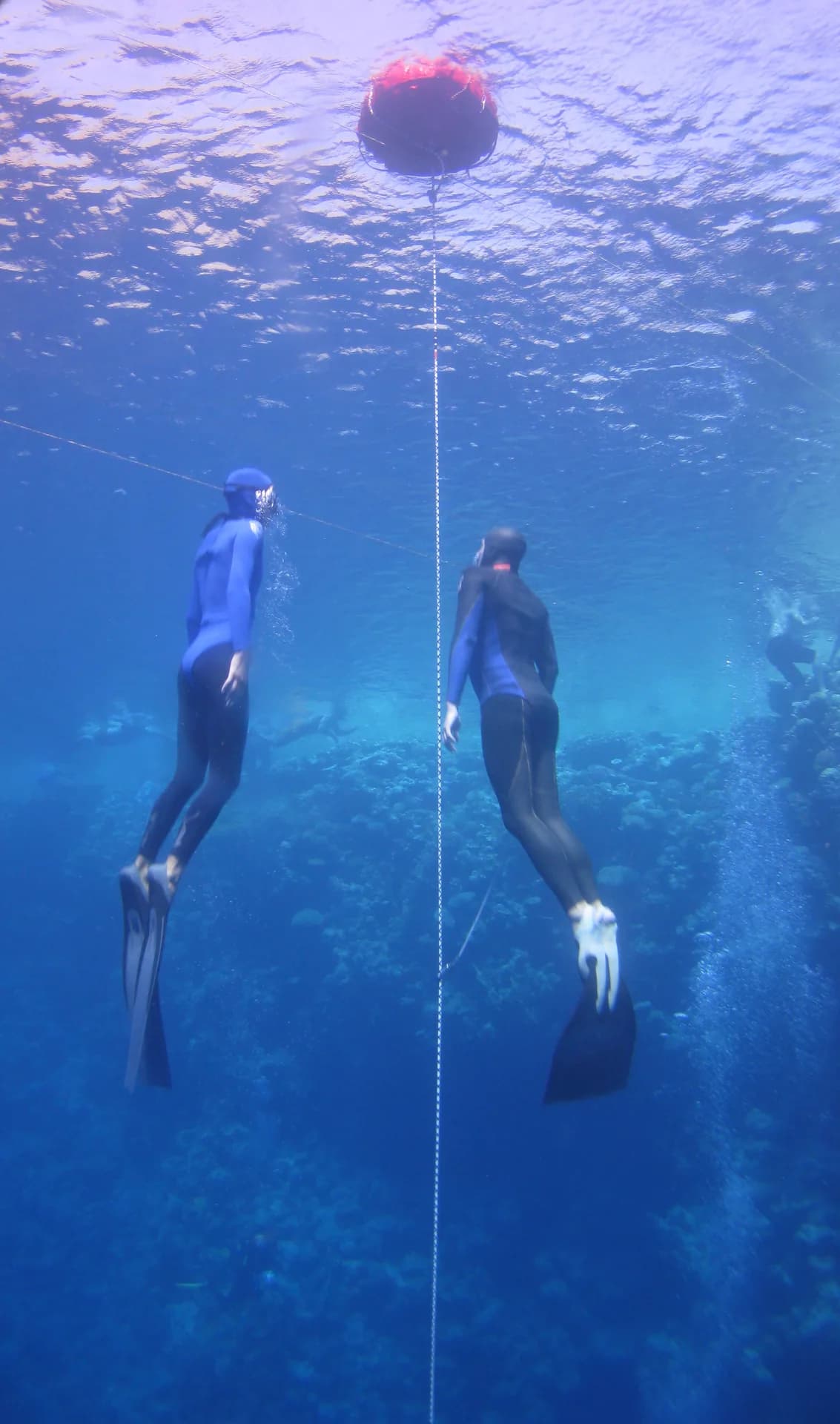 Freediver and safety divers ascending together