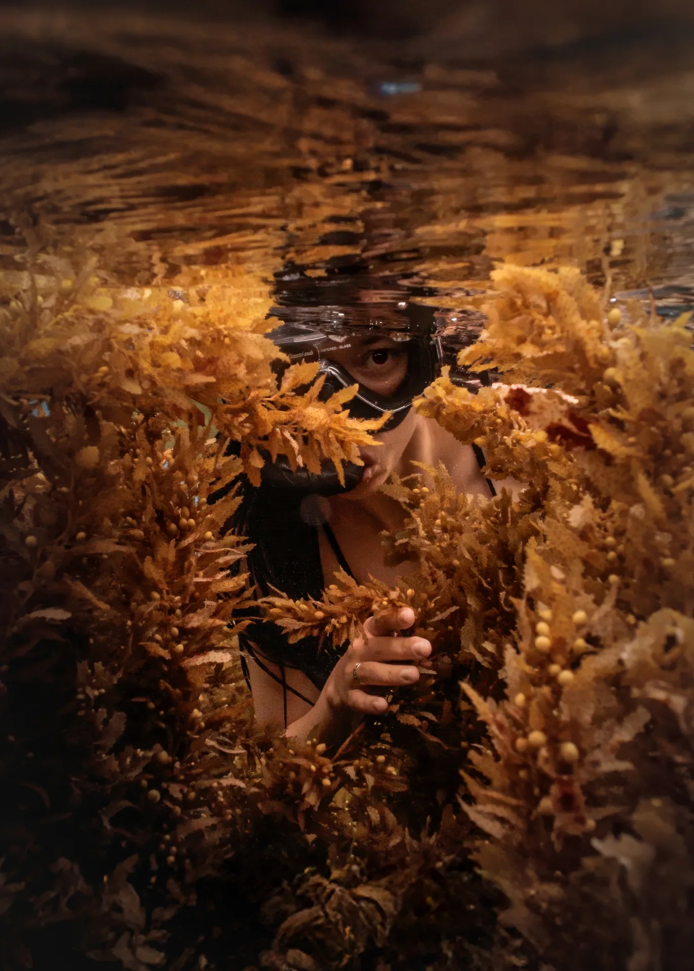 Underwater snorkeler in tropical clear blue water