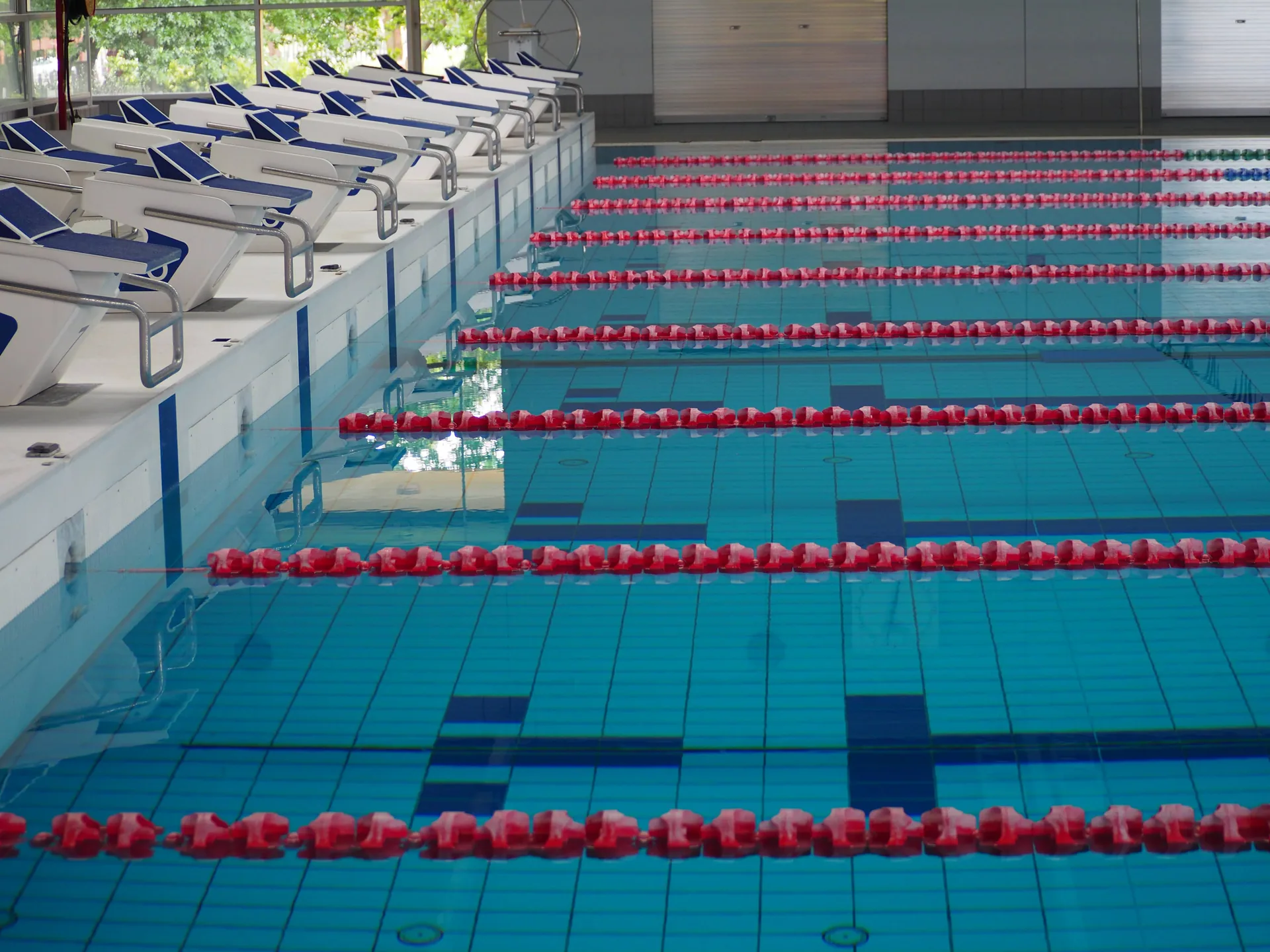 Lap lane in an Olympic-sized swimming pool used for apnea training