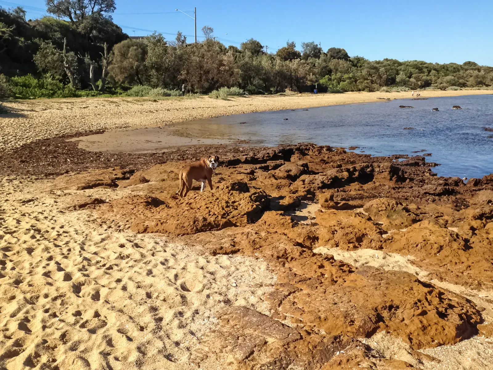 Ricketts Point Marine Sanctuary, Beaumaris, Victoria