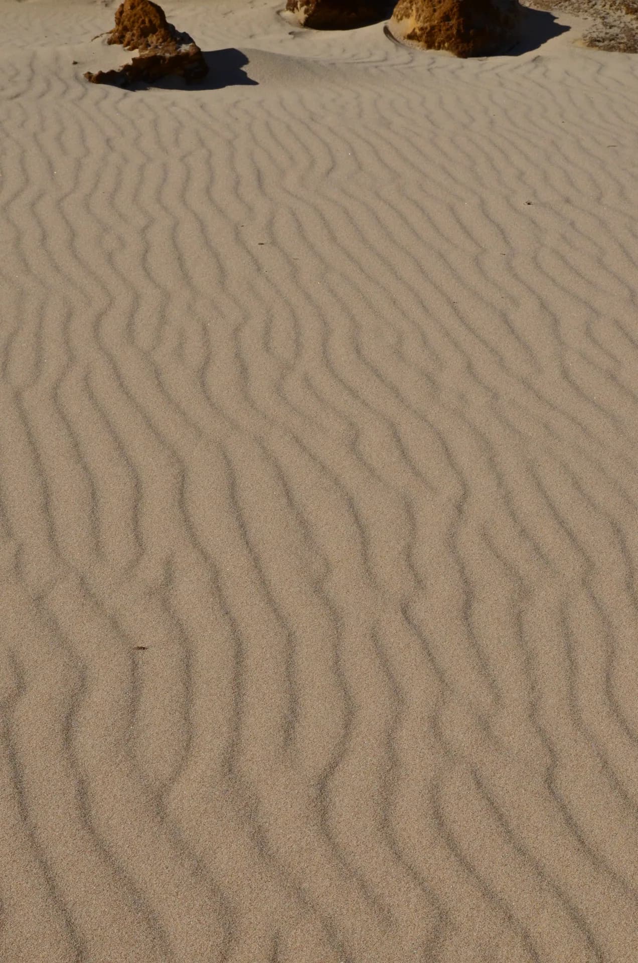 Beach on Phillip Island, Victoria